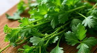 From Parsley to Cilantro: A Guide to Essential Herb Chopping Techniques