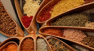 The Spice Merchant's Quill: Exotic Ingredients, Unexpected Metaphors